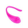 Oeuf vibrant Rechargeable USB