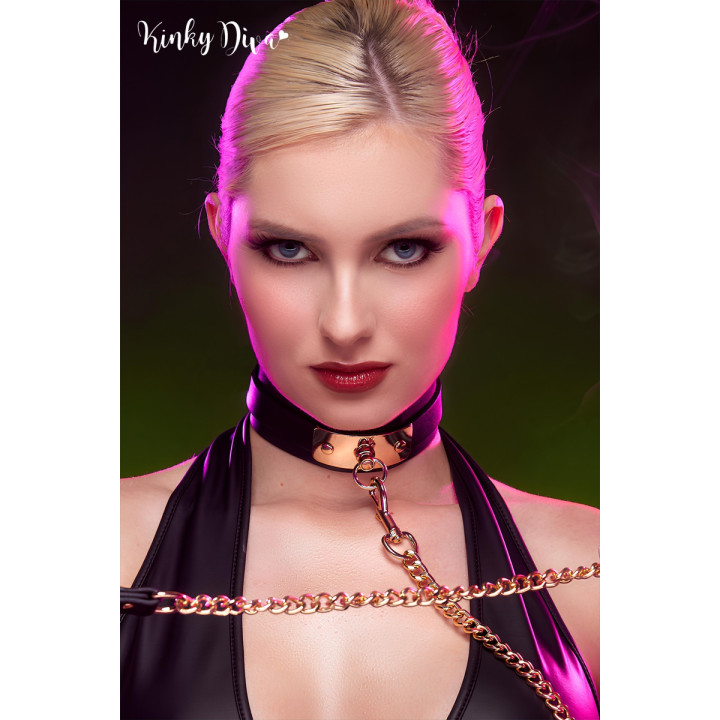 Collier noir plaque dorée & Laisse mousqueton doré
