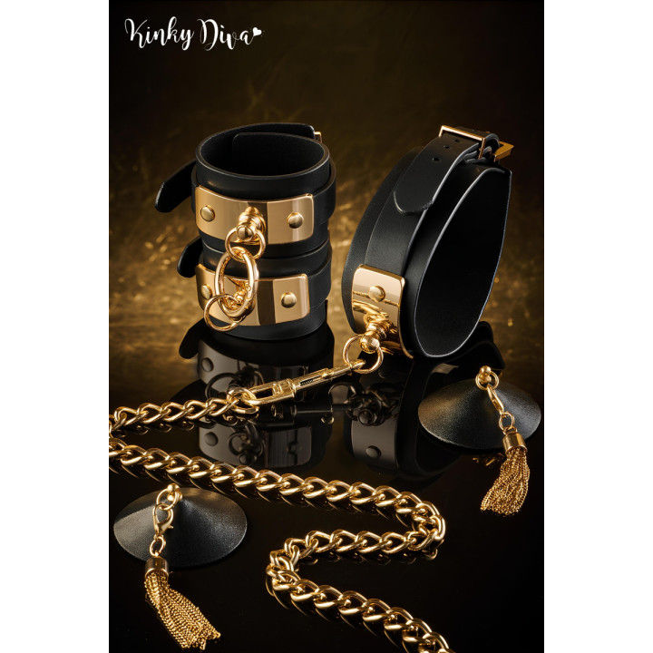 Collier noir plaque dorée & Laisse mousqueton doré